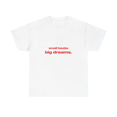 Small boobs big dreams. - Oversized Tee